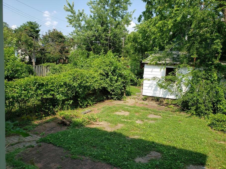 D.C.'S Brookland House Pets Are Welcome! Villa Washington Exterior photo